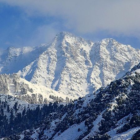Hotel Bliss Valley Dharamshala - Beautiful View Of Mountains From Rooms Extérieur photo