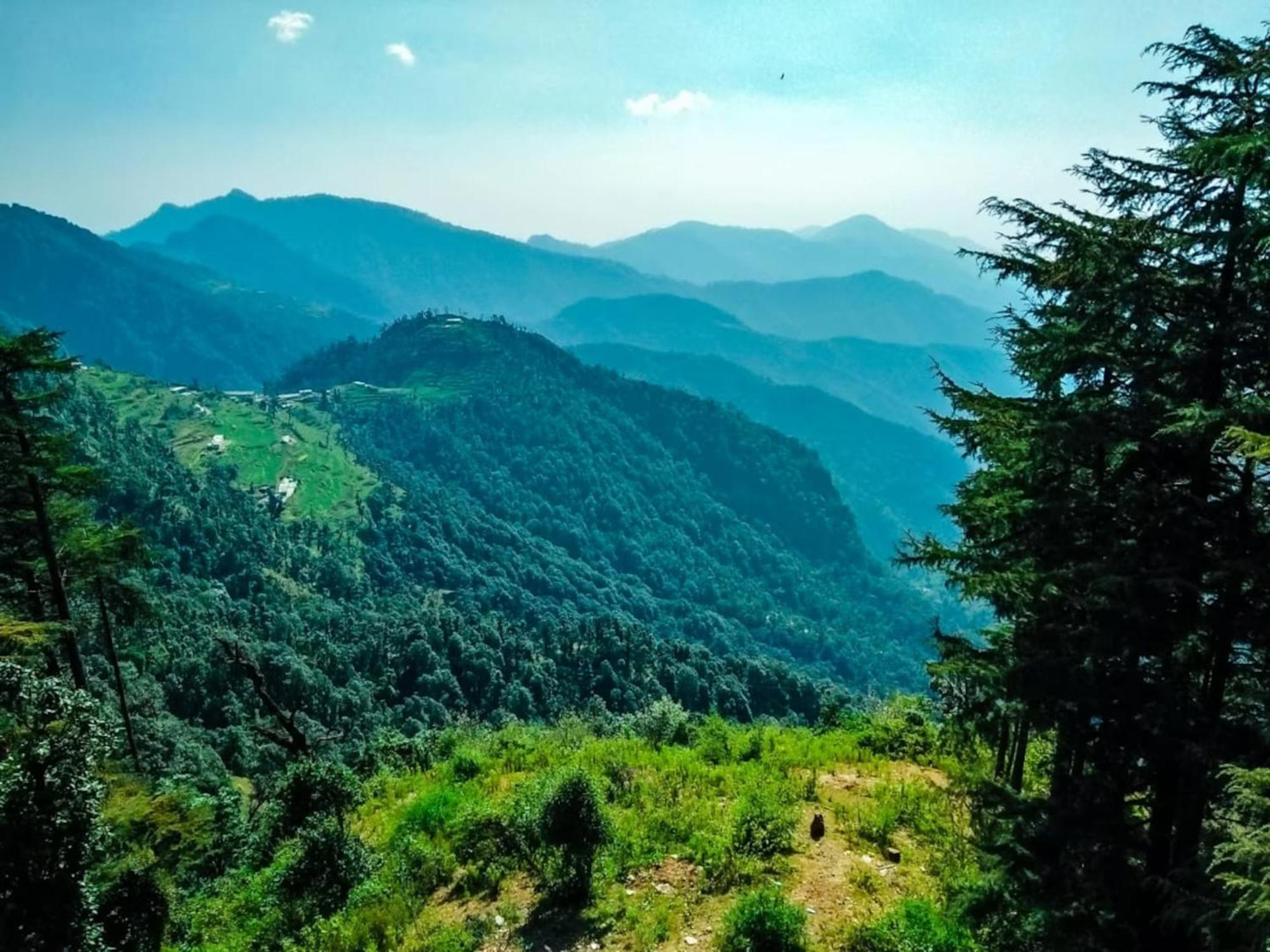 Hotel Bliss Valley Dharamshala - Beautiful View Of Mountains From Rooms Extérieur photo